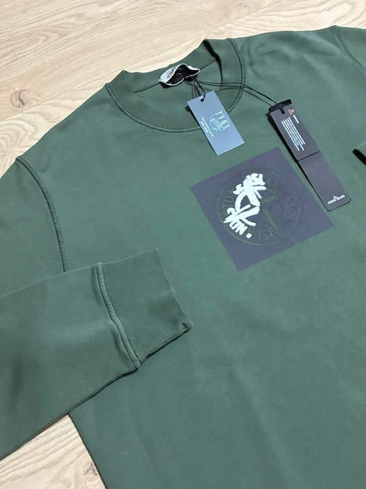 Stone Island 66559 ‘Institutional One’ Cotton Fleece Compass Graphic Logo Garment Dyed Green Sweater